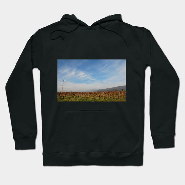 Autumn Landscape in Friuli Hoodie by jojobob